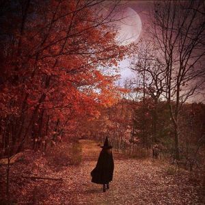 Meet your Posher, Judi